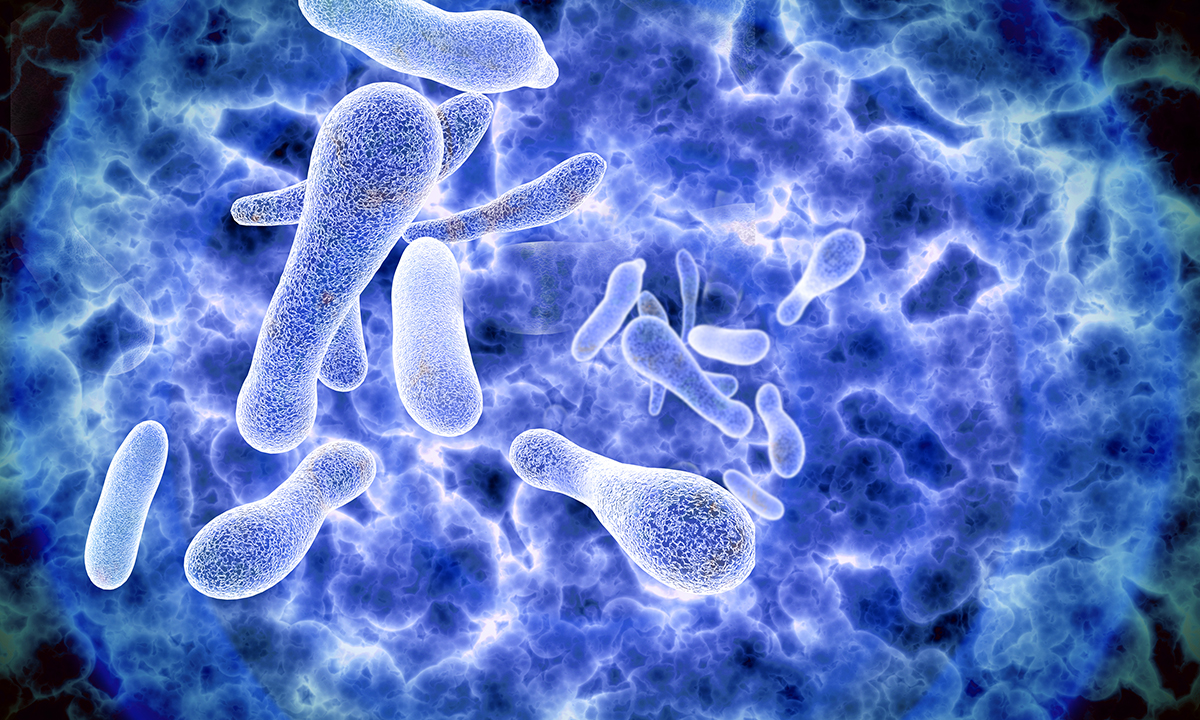 Legionella நோயால் பாதிக்கப்படுபவர்களின் எண்ணிக்கை அதிகரிப்பு!