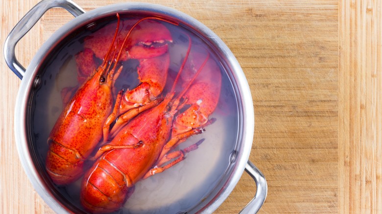 சுவிஸ்சில் கடல் நண்டுகளை(Lobsters) உயிருடன் சமைக்க தடை விதிக்கப்பட்டுள்ளது.